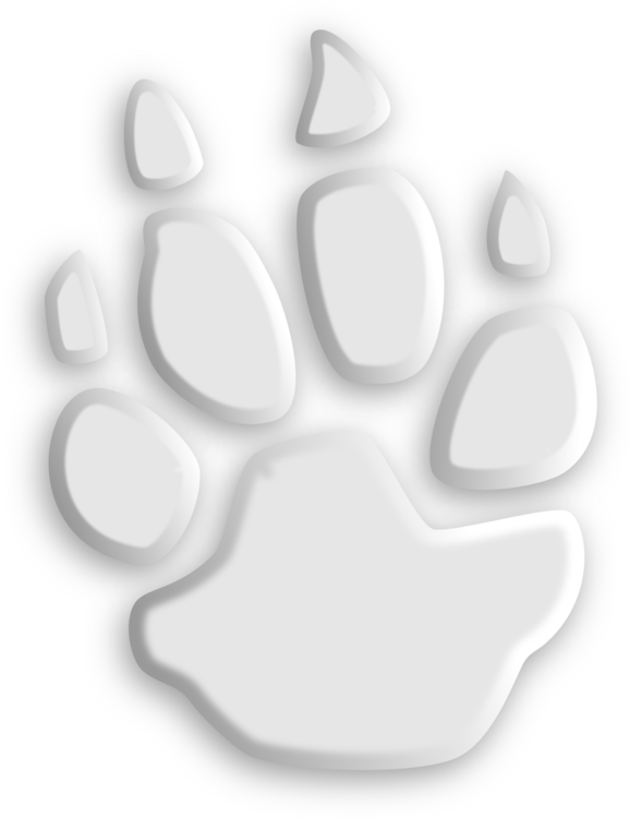 Footprint Animal Transparent PNG Image