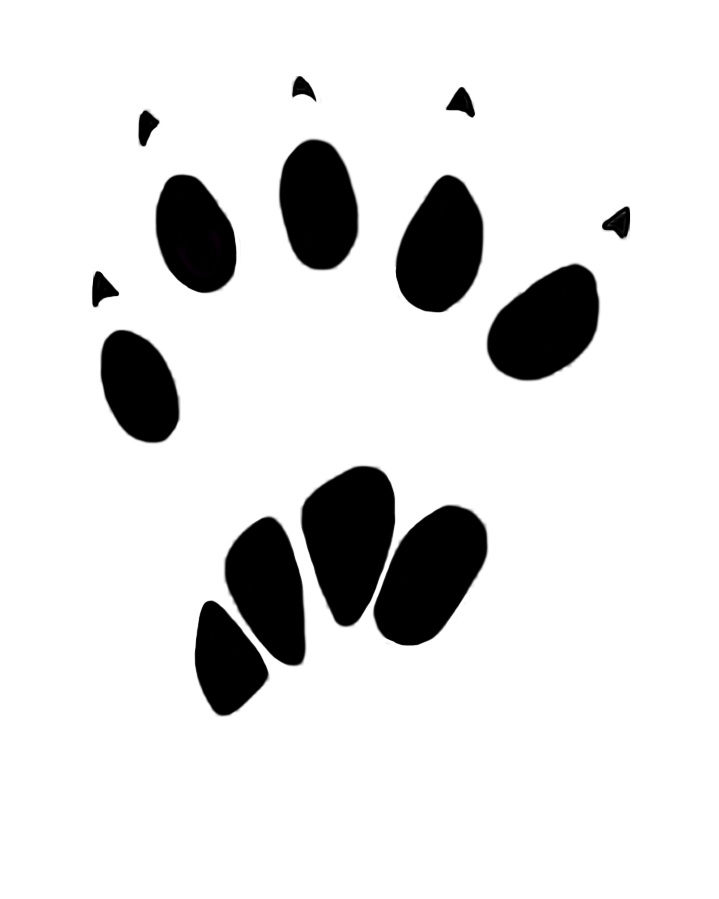 Footprint Animal Transparent PNG Image