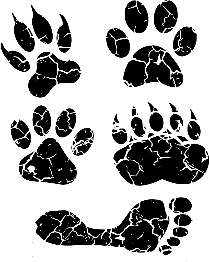 Footprint Animal Transparent PNG Image