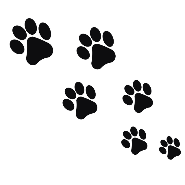 Footprint Animal Transparent PNG Image