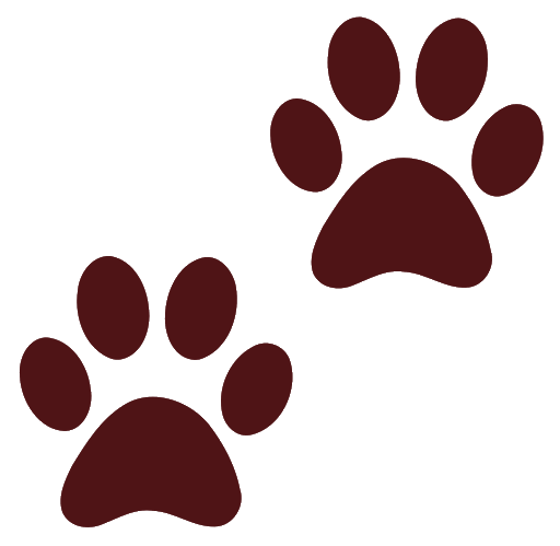 Footprint Vector Animal Transparent PNG Image