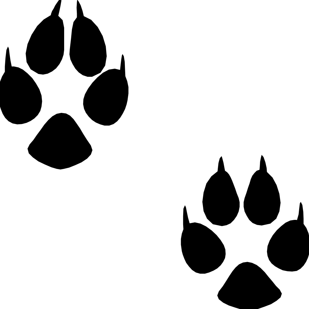 Footprint Animal Transparent PNG Image
