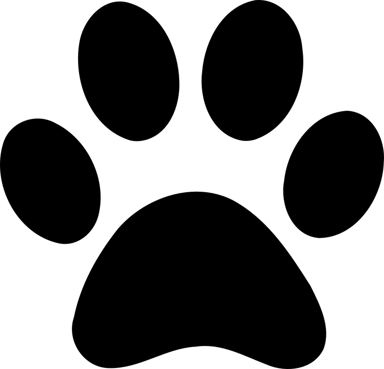 Footprint Vector Animal Transparent PNG Image