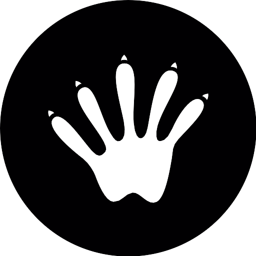 Footprint Animal Transparent PNG Image