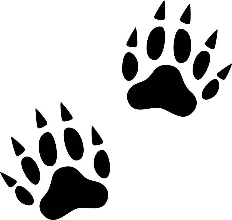 Footprint Animal Transparent PNG Image