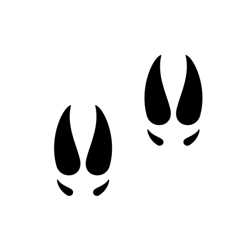 Footprint Animal File Transparent PNG Image