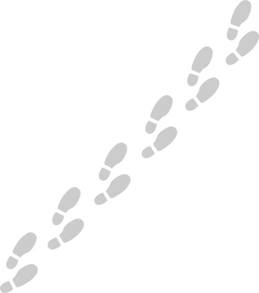 Footprints Shoe Transparent PNG Image
