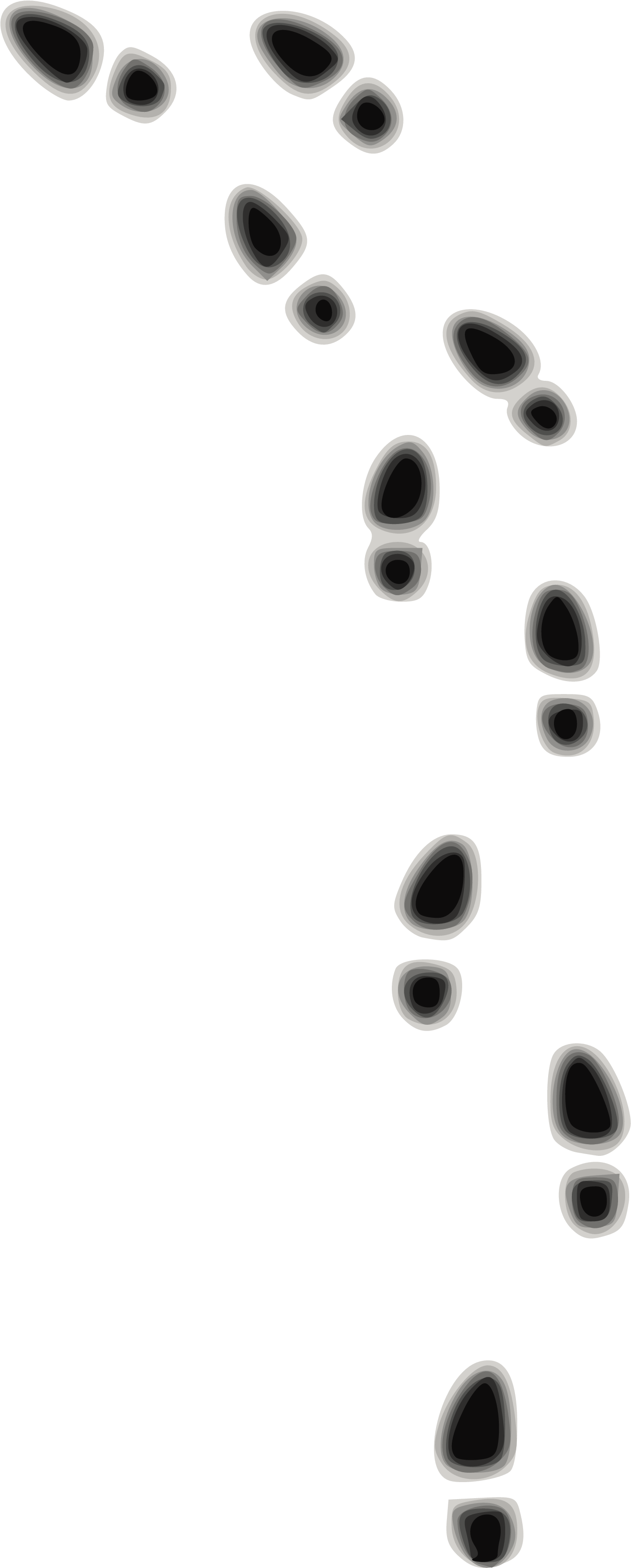 Footprints Vector Shoe Transparent PNG Image