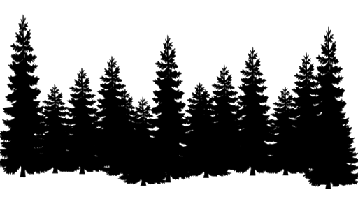 Tree Forest Transparent PNG Image