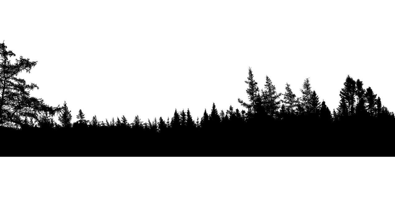 Tree Forest Transparent PNG Image