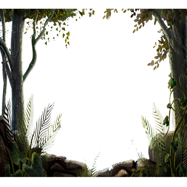 Tree Green Forest Transparent PNG Image
