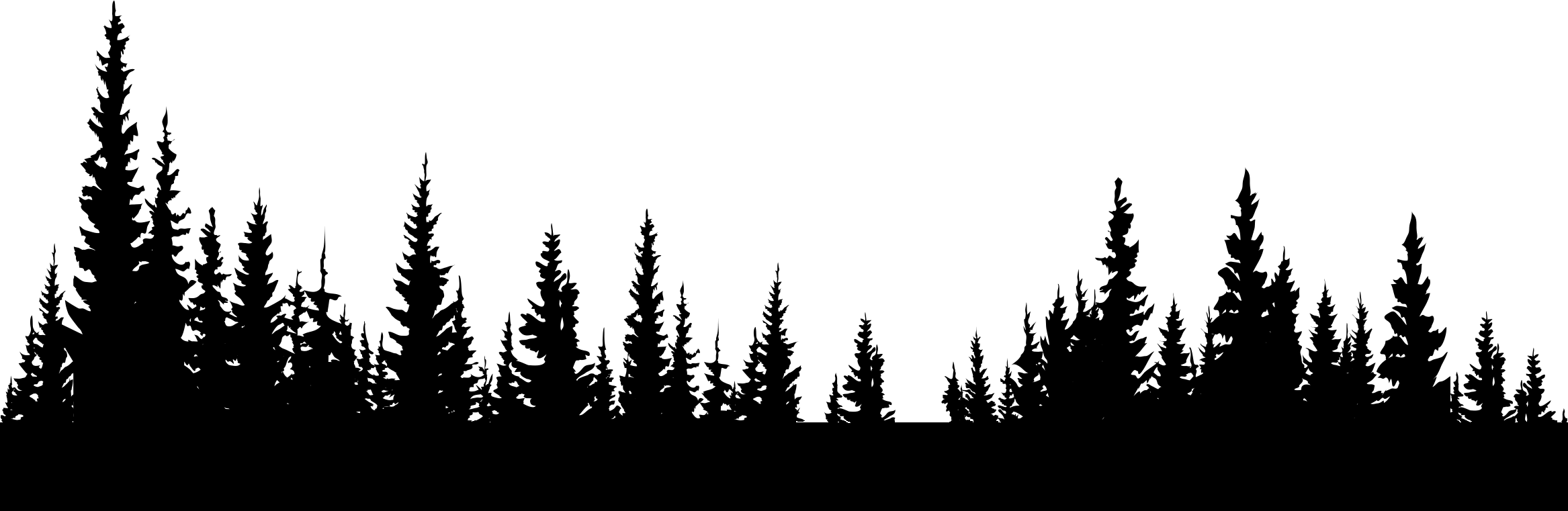 Tree Green Forest File Transparent PNG Image