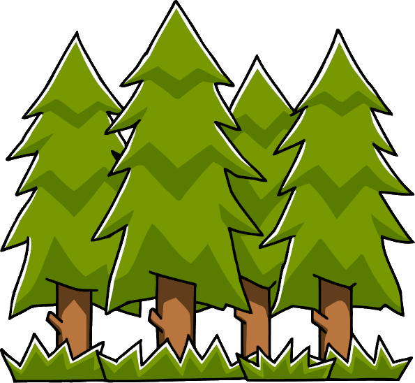 Forest Transparent PNG Image