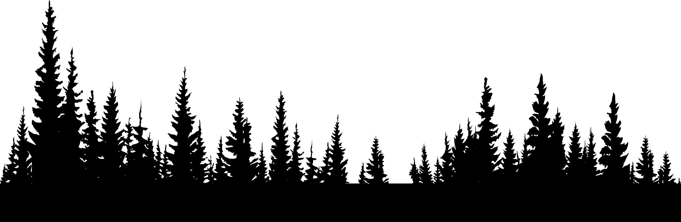 Forest Transparent PNG Image