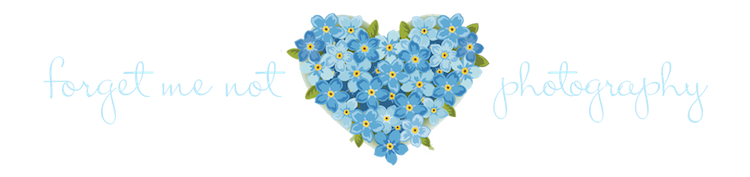 Forget Me Not Transparent PNG Image