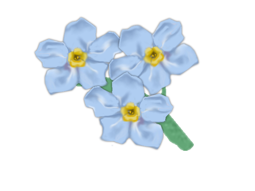 Forget Me Not Transparent PNG Image