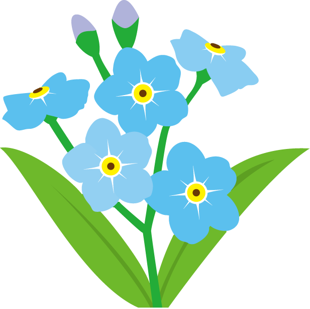 Forget Me Not Background Transparent PNG Image