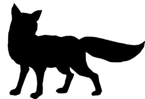 Fox Transparent PNG Image