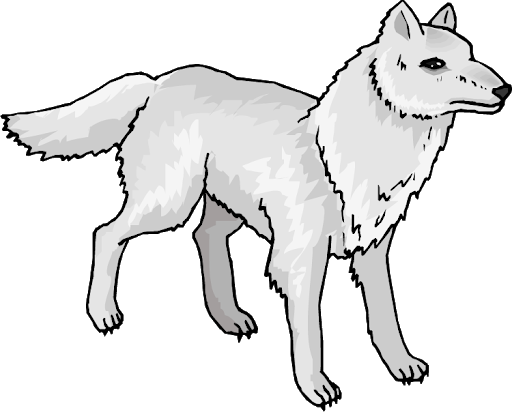 Arctic Fox Snow Transparent PNG Image