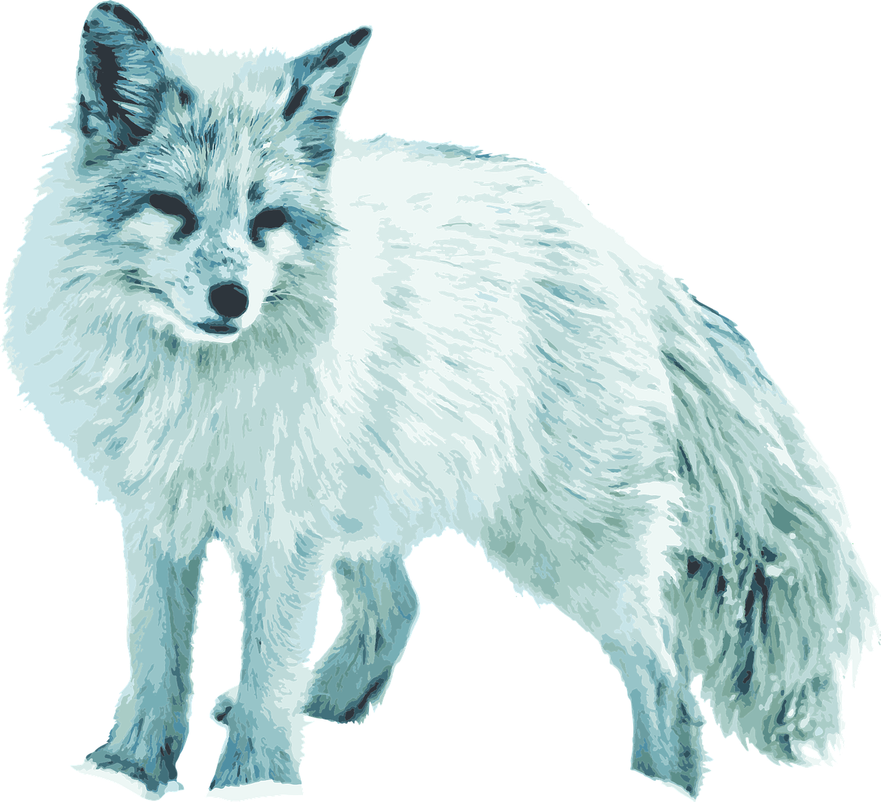 Arctic Fox Snow Transparent PNG Image
