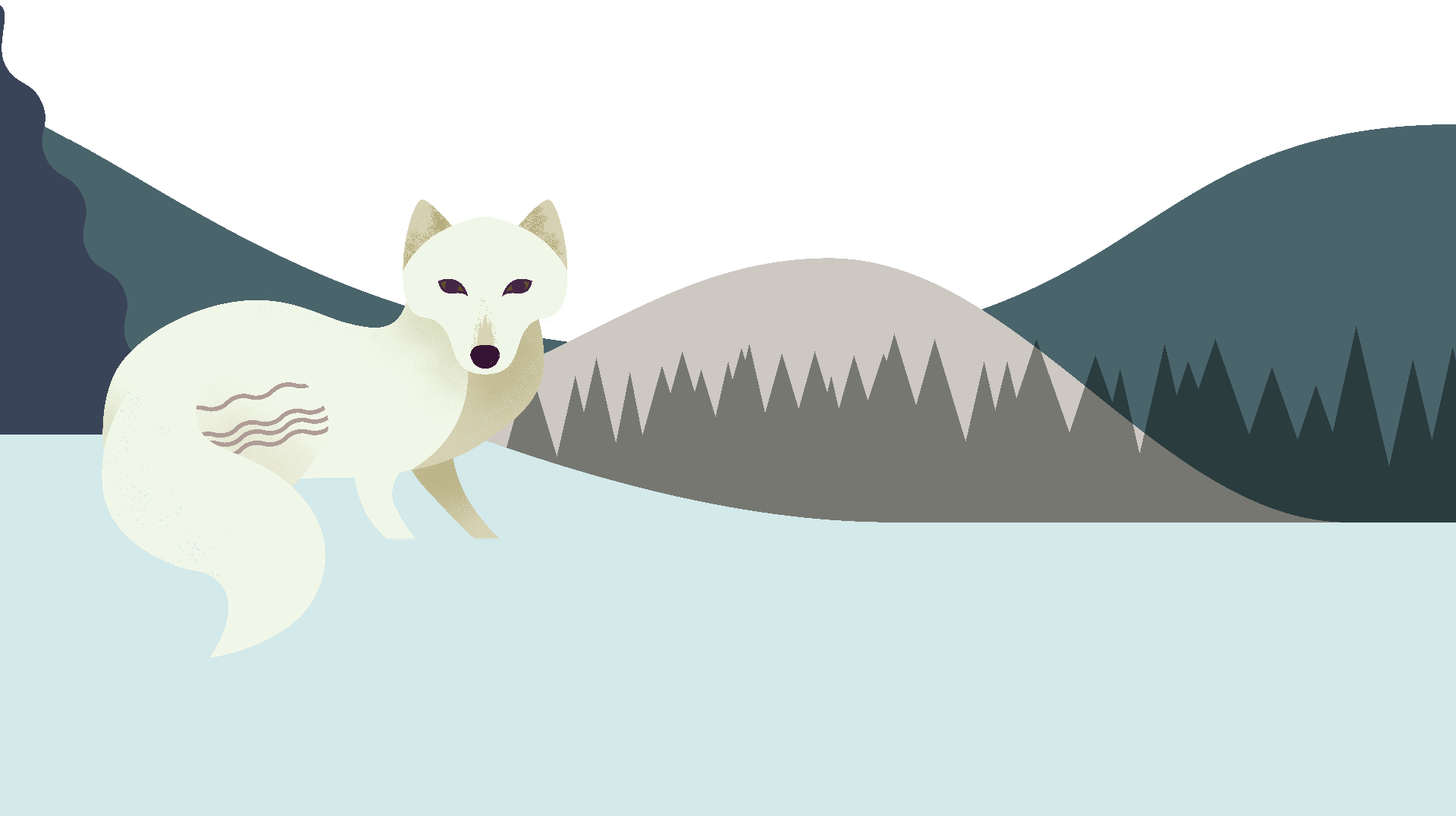 Arctic Fox Snow Transparent PNG Image