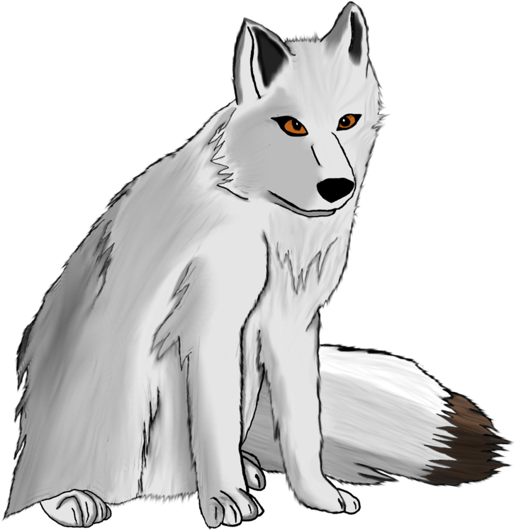 White Fox Arctic Transparent PNG Image