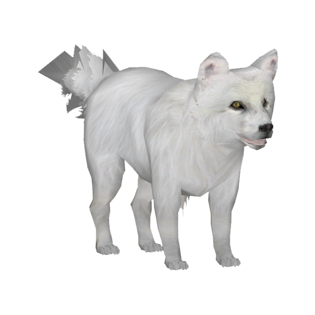 White Fox Arctic Transparent PNG Image