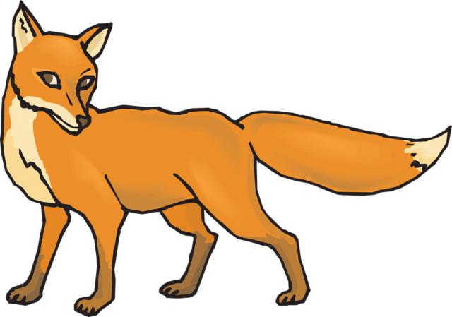 Cute Vector Fox Transparent PNG Image