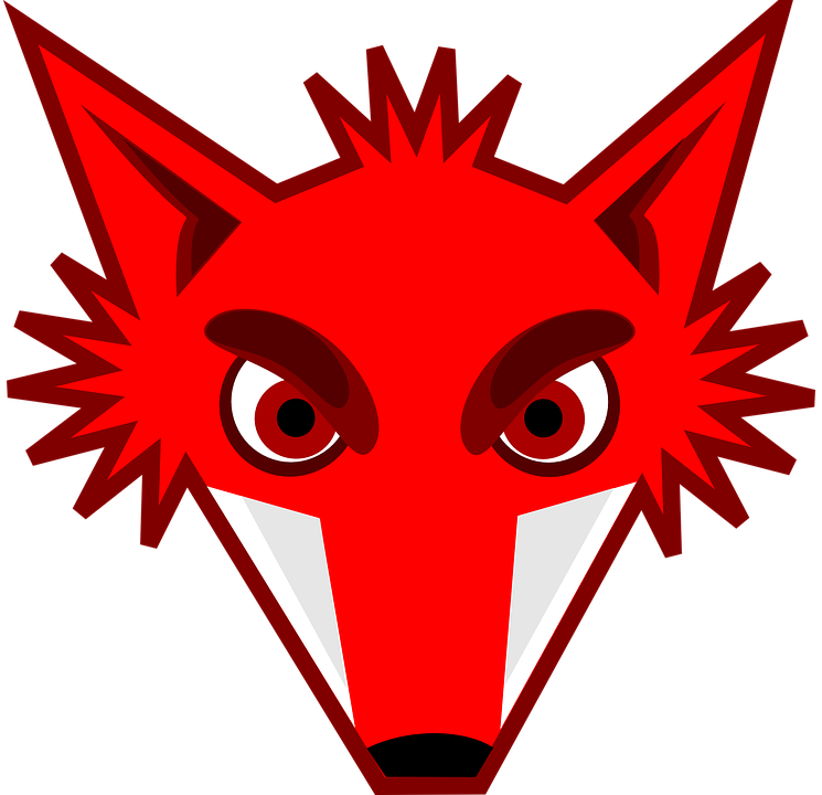 Fox Eyes Transparent PNG Image