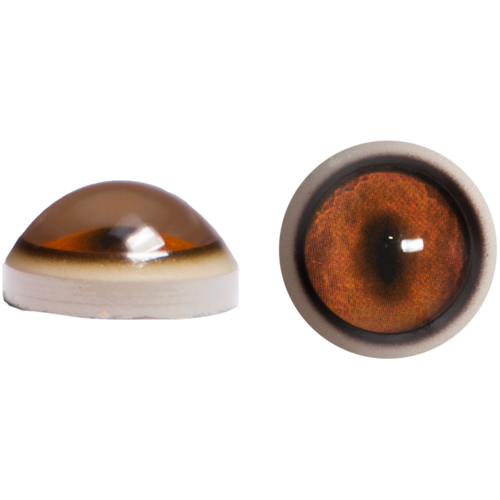 Fox Eyes Background Transparent PNG Image