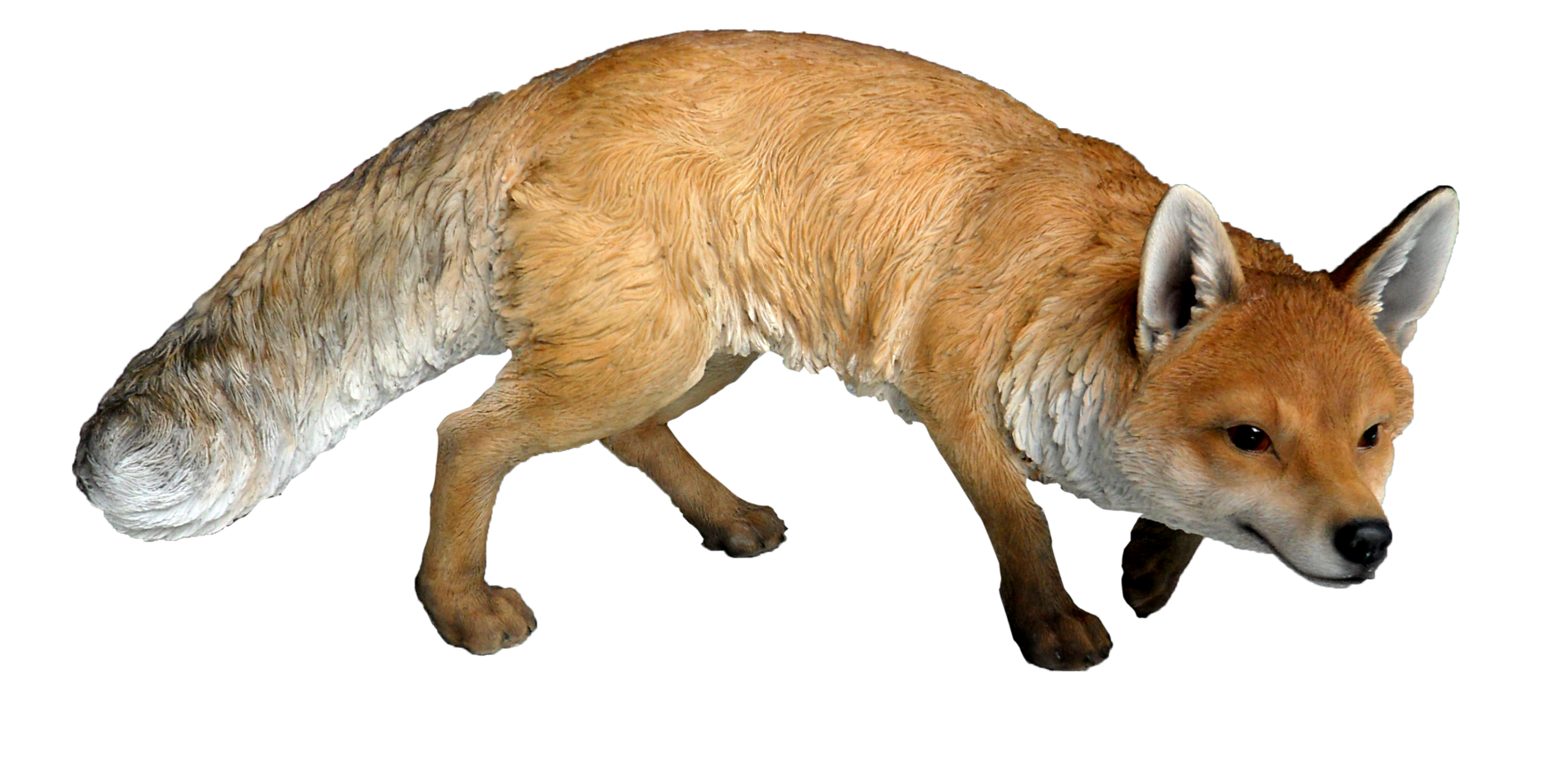 Fox 11 Transparent PNG Image