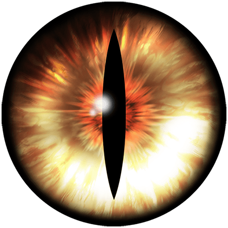 Fox Eyes Transparent PNG Image