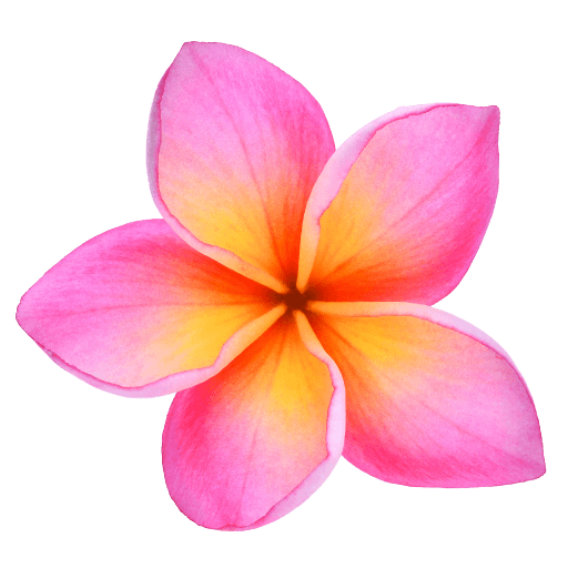 Frangipani Flower Transparent PNG Image