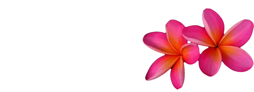 Pink Frangipani Flower File Transparent PNG Image