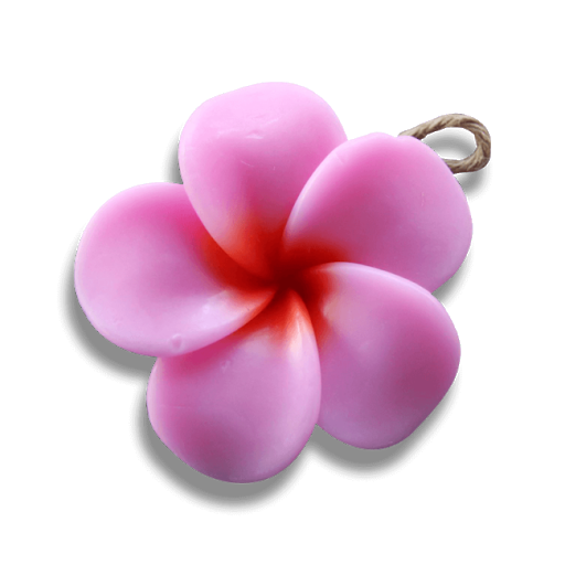 Pink Frangipani Flower Transparent PNG Image