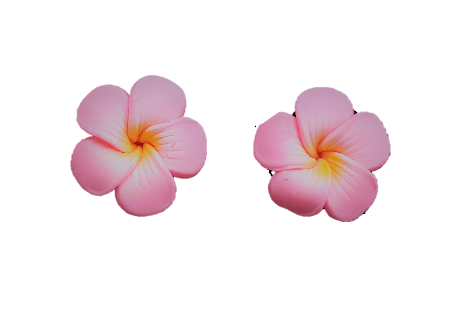Pink Frangipani Transparent PNG Image