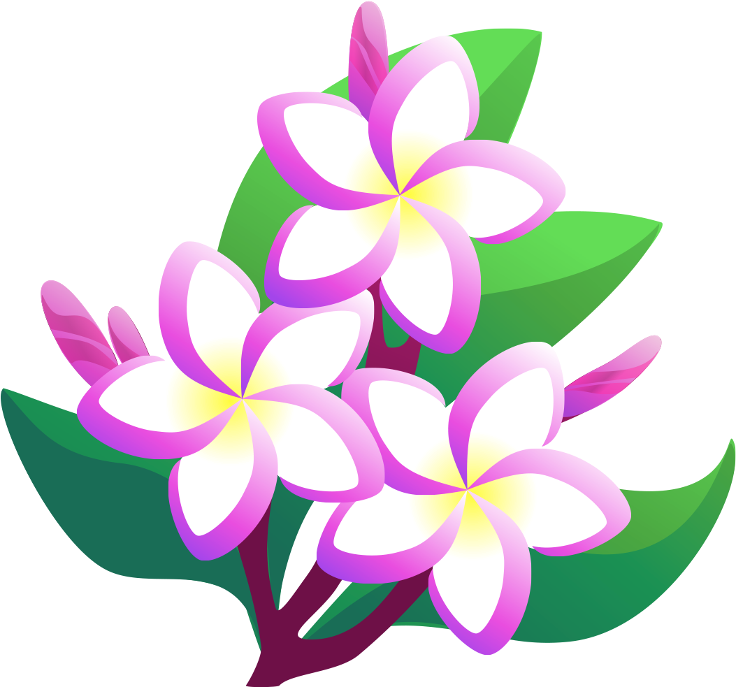 Pink Frangipani Vector Transparent PNG Image