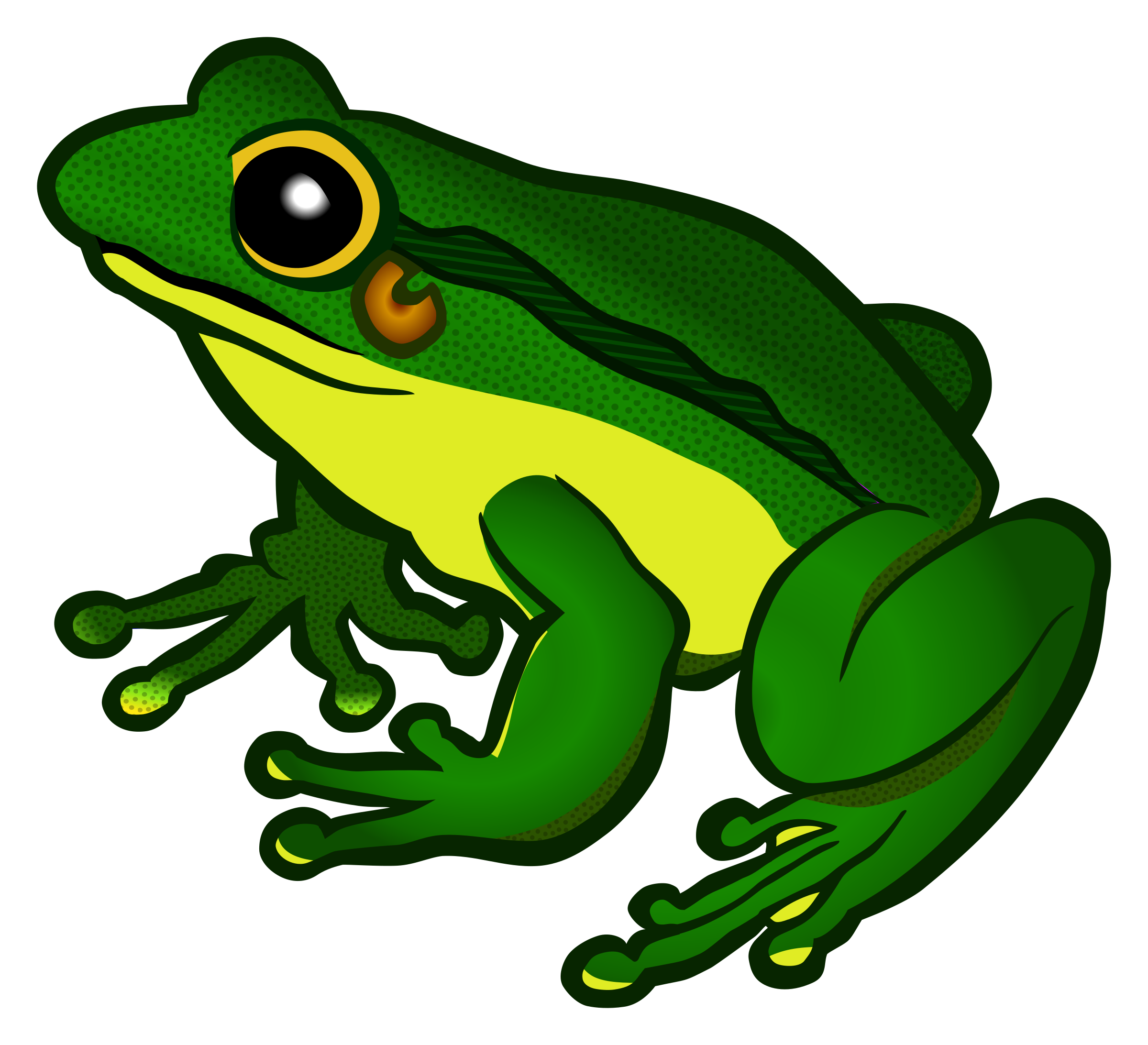 Frog Background Transparent PNG Image
