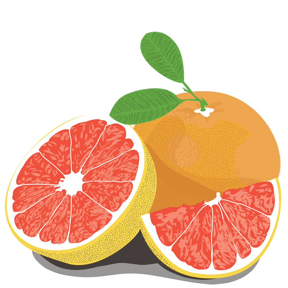 Grapefruit Half Transparent PNG Image