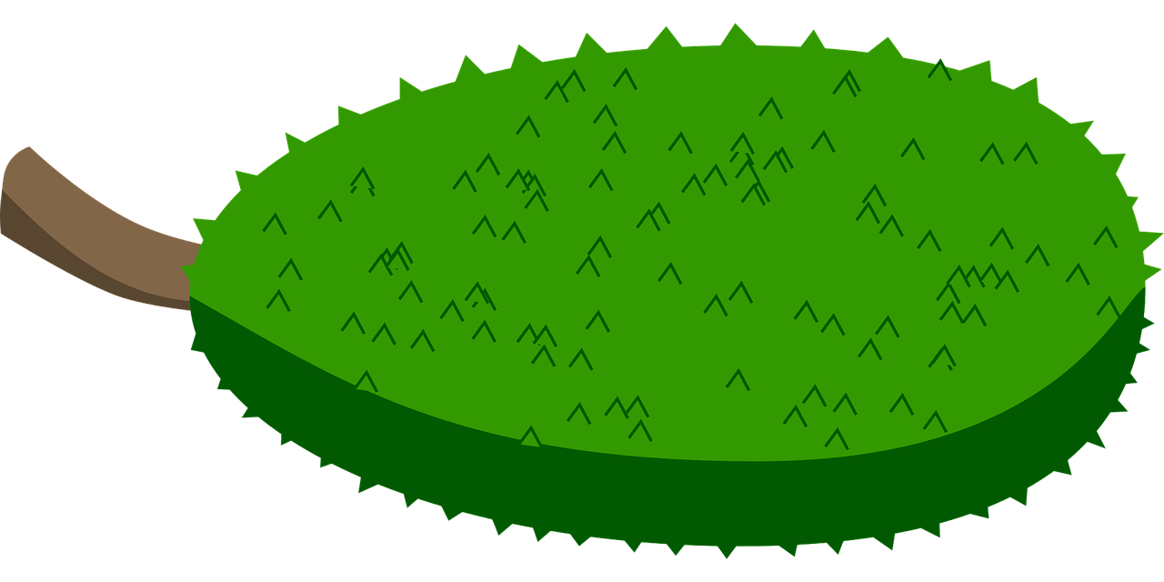 Jackfruit Transparent PNG Image