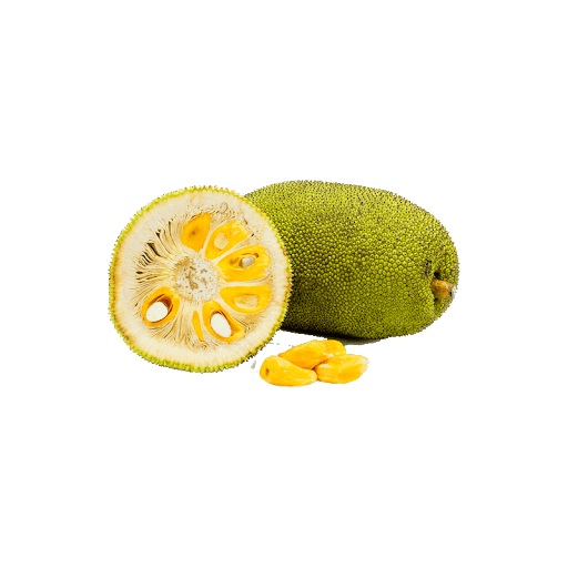 Jackfruit Transparent PNG Image