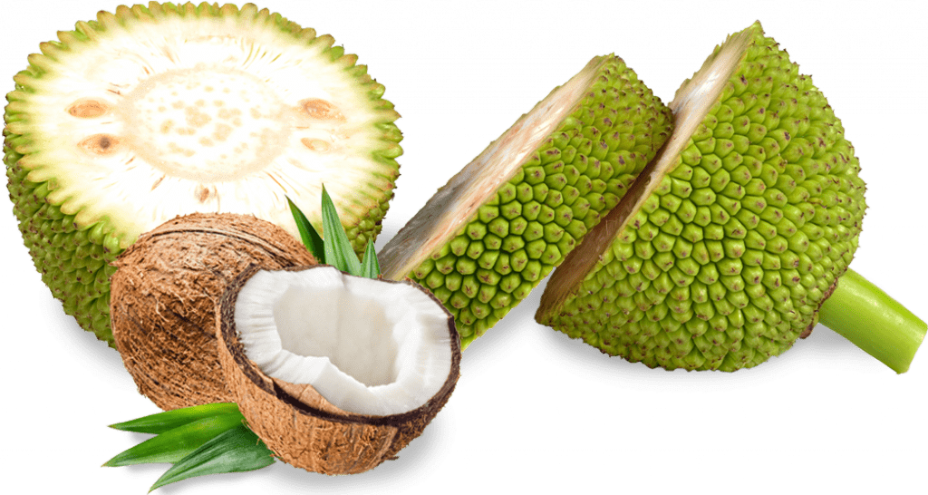 Jackfruit Juicy Transparent PNG Image