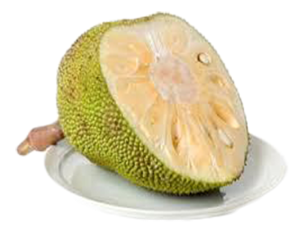 Jackfruit Juicy Transparent PNG Image