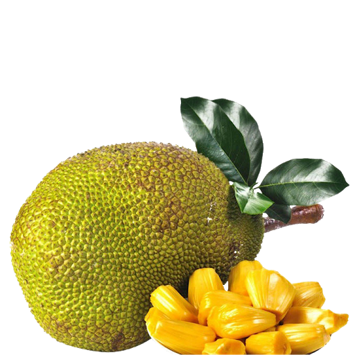 Jackfruit Juicy Transparent PNG Image
