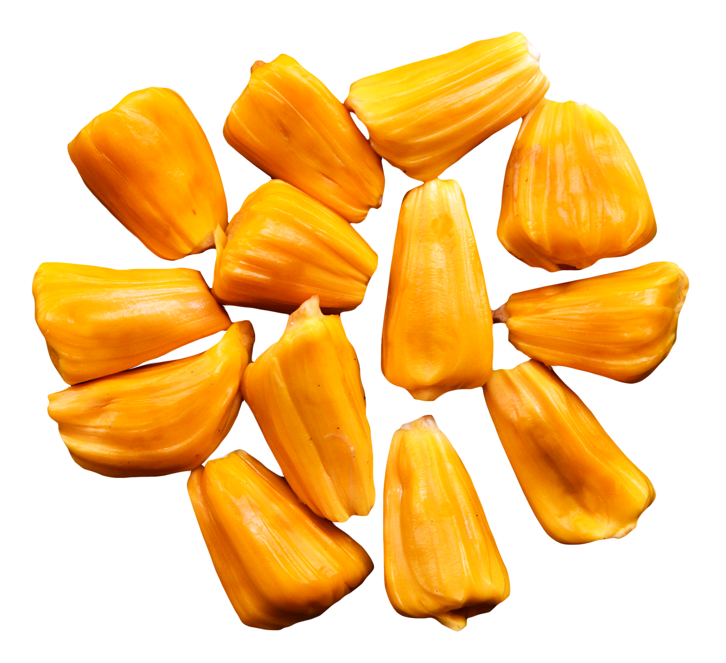 Jackfruit Juicy Transparent PNG Image