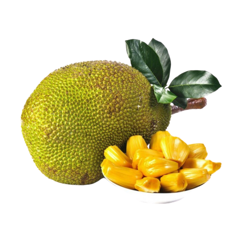 Jackfruit Juicy Transparent PNG Image