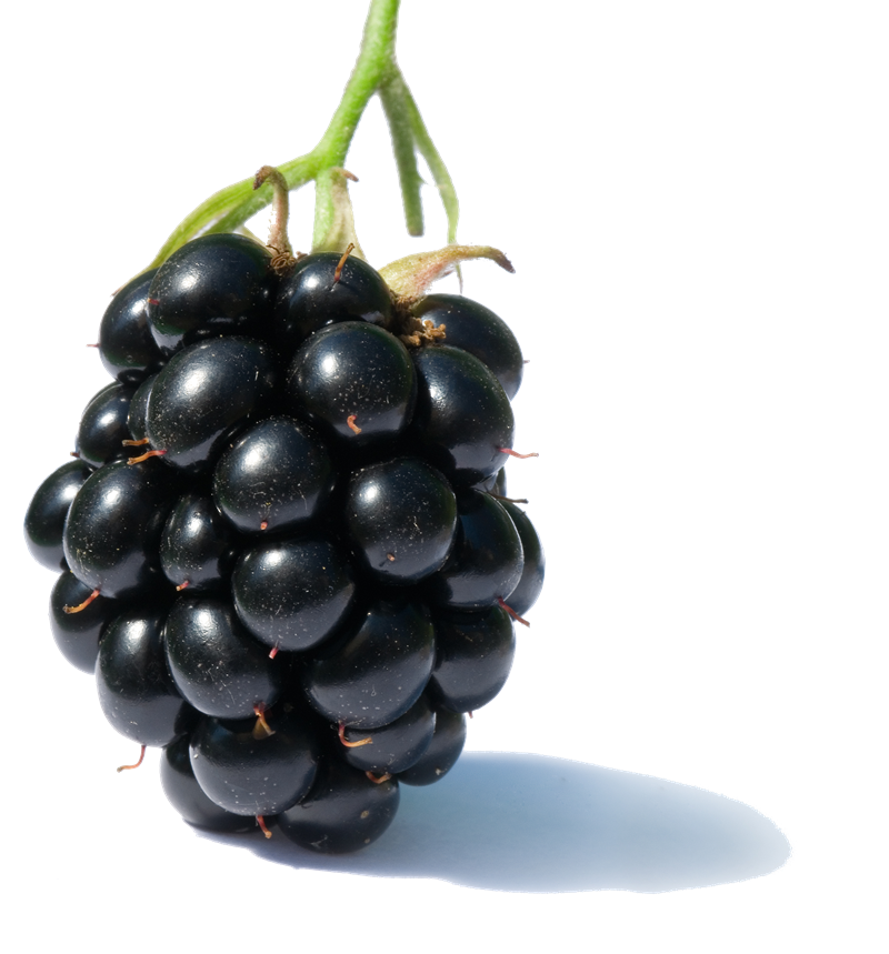 Fresh Fruits Transparent PNG Image