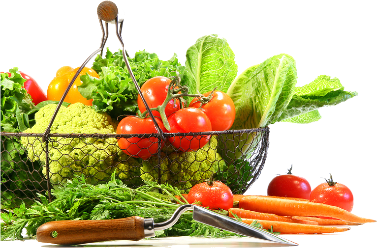 And Vegetables Fruits Transparent PNG Image