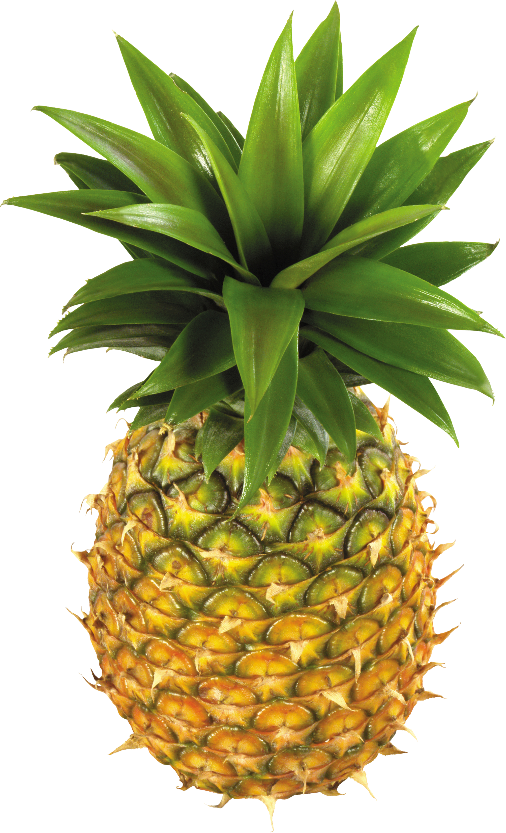 Healthy Fruits Transparent PNG Image