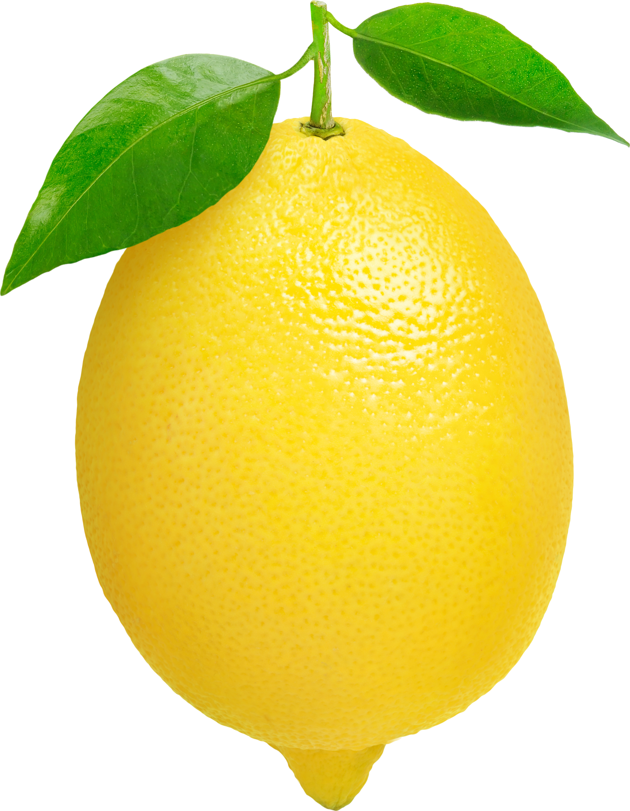 Organic Fruits Transparent PNG Image